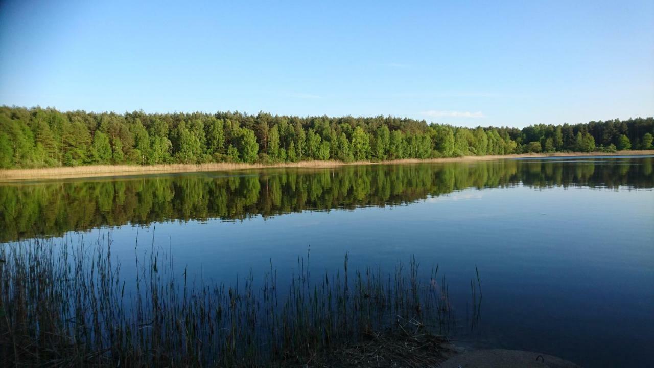 Domek Letniskowy Dario Insko Luaran gambar