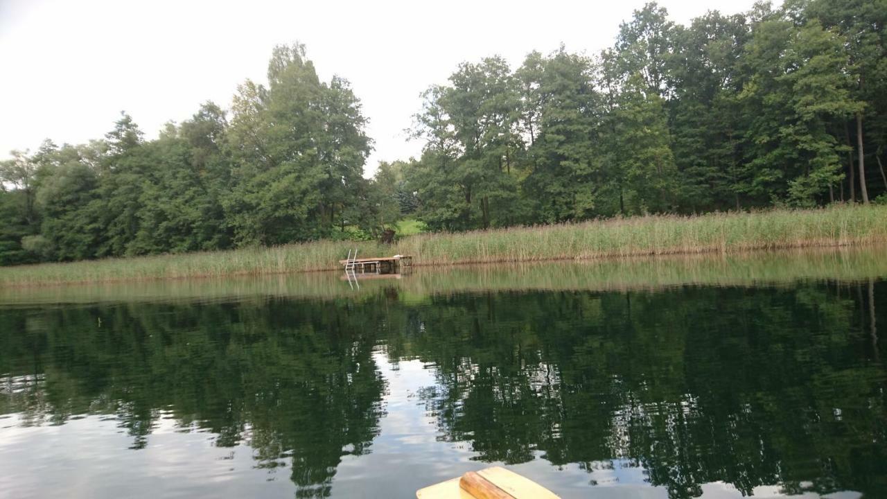 Domek Letniskowy Dario Insko Luaran gambar